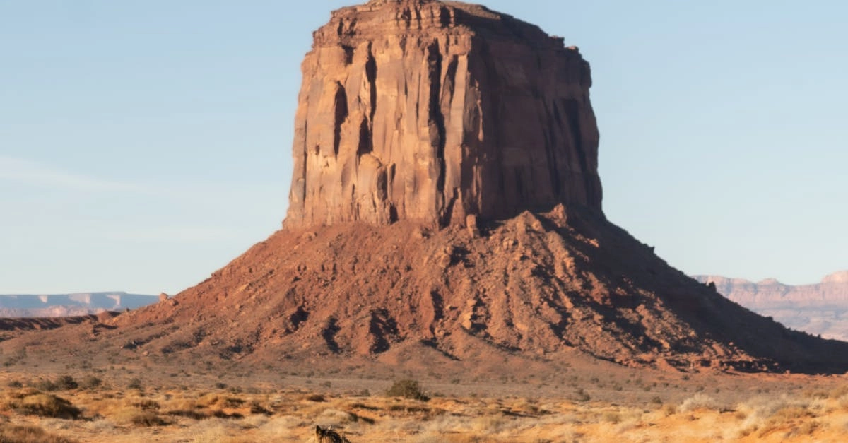 Дисциплинированная игра в слот Wild West Gold с правилами