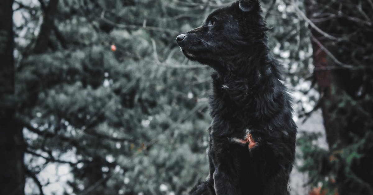 Правила программ лояльности казино без депозита